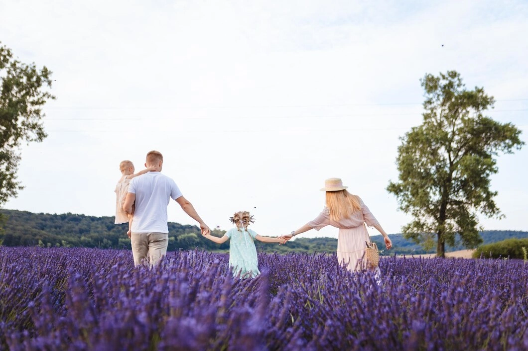 新竹親子景點:新竹薰衣草森林
