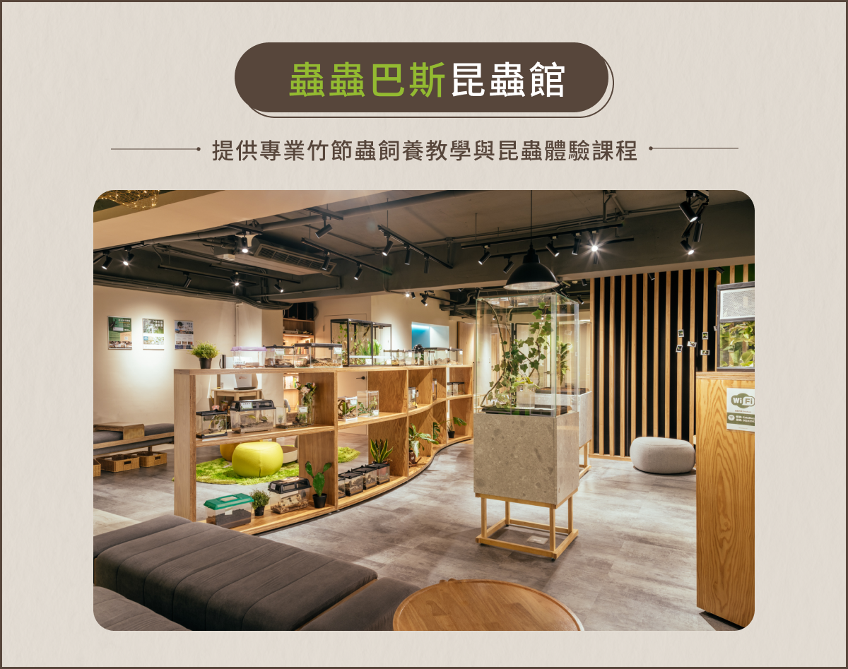 蟲蟲巴斯提供各種昆蟲生態課程