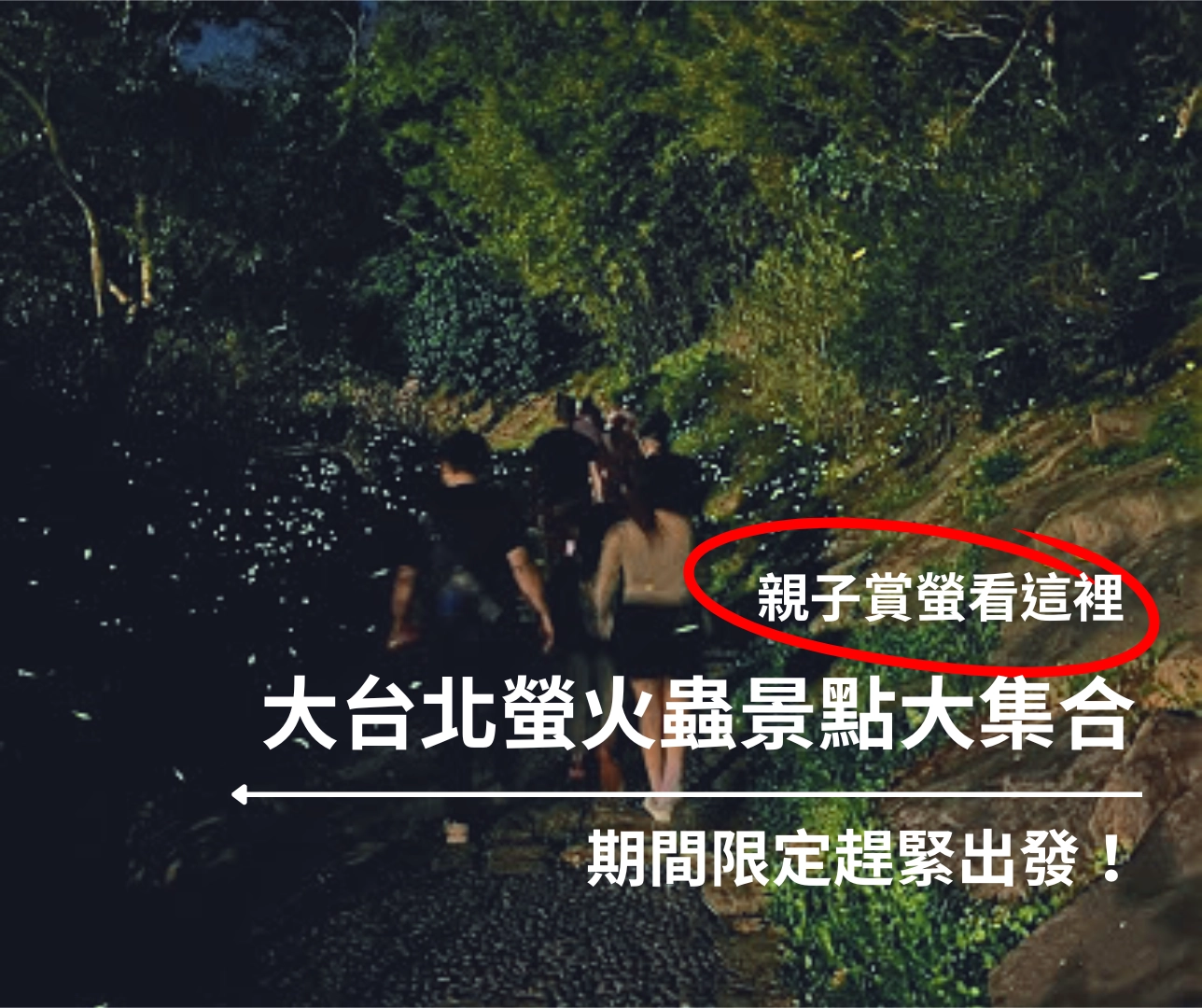 大台北2026親子賞螢火蟲景點大補帖|台北+新北 10 大景點+親子戶外課推薦