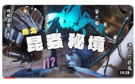 RJ體驗都市的蟲蟲秘境