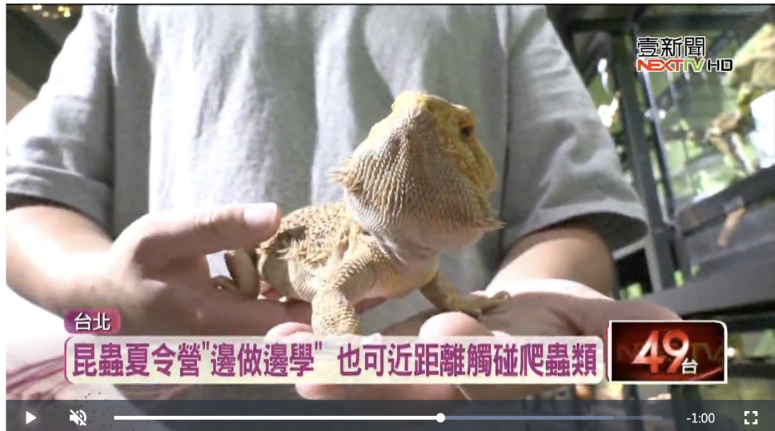 夏令營夯！小朋友衝昆蟲祭典