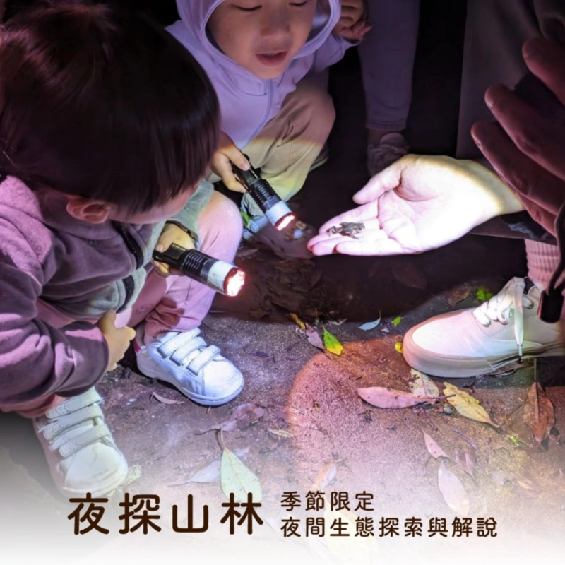 季節限定【夜探山林】｜夜間生態探索與解說 