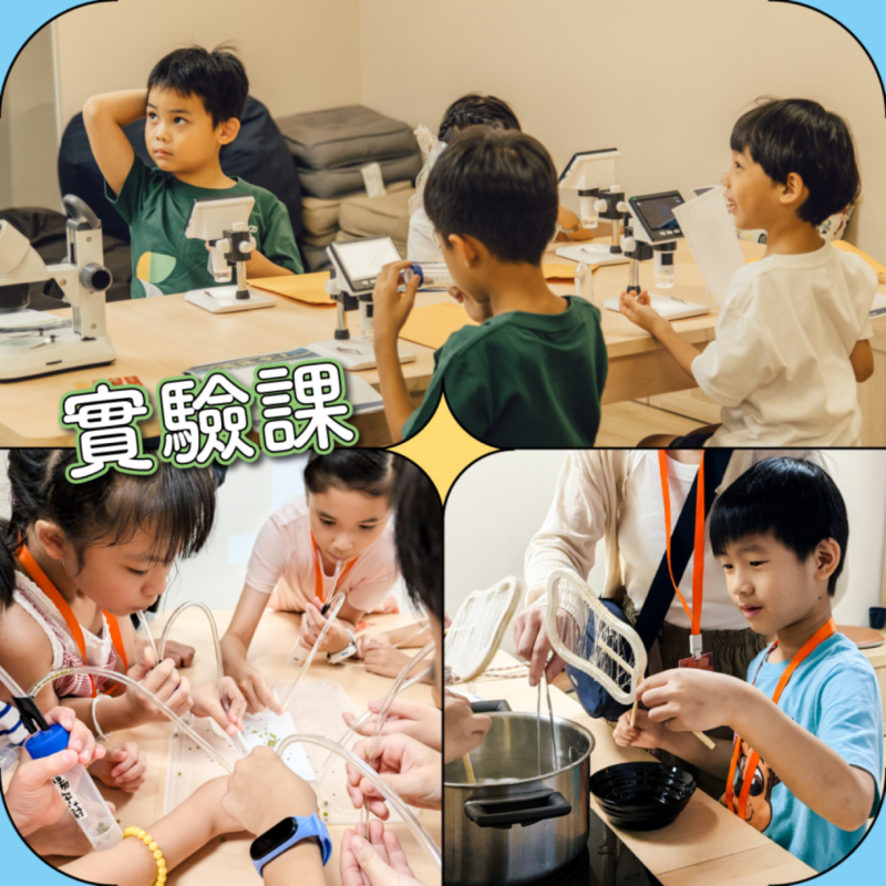 【新竹館・週末1+1半日營】