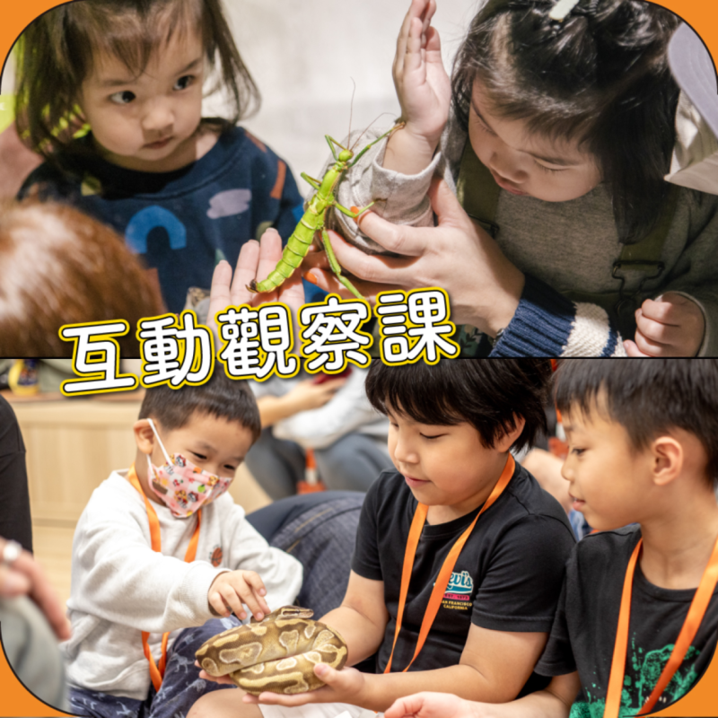 【新竹館・週末1+1半日營】