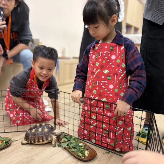 【新竹館・動物廚房小當家】
