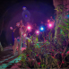 季節限定【夜探山林】｜夜間生態探索與解說 