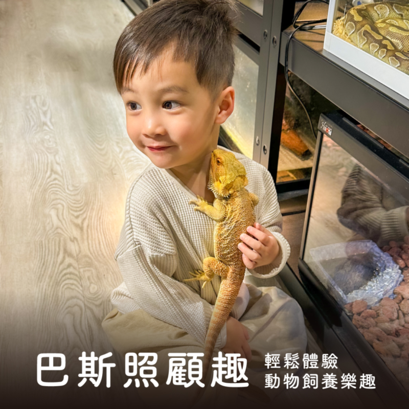 【巴斯照顧趣】｜單堂體驗・多堂訂閱
