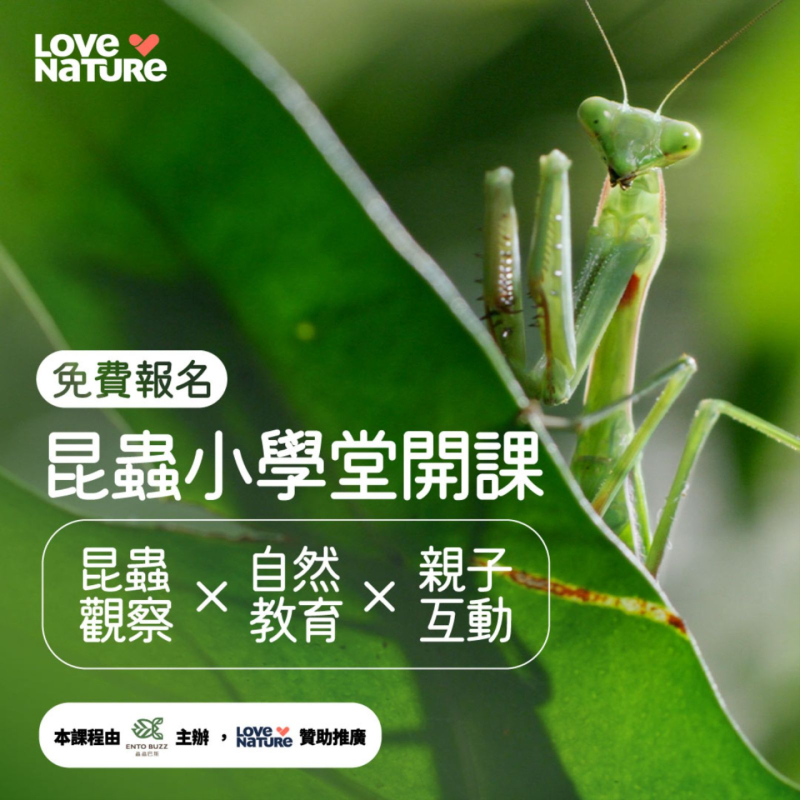 蟲蟲巴斯 X Love Nature【昆蟲小學堂】（已額滿）