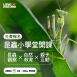 蟲蟲巴斯 X Love Nature【昆蟲小學堂】（已額滿）