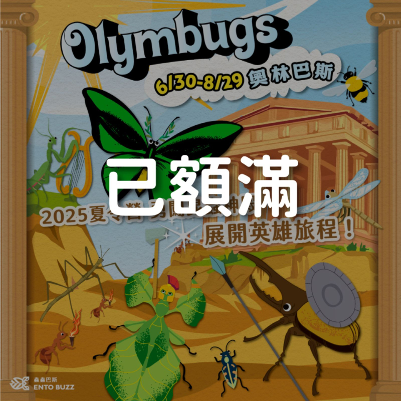 2025夏令營【台北地區】｜Olymbugs 奧林巴斯｜五日昆蟲夏令營 