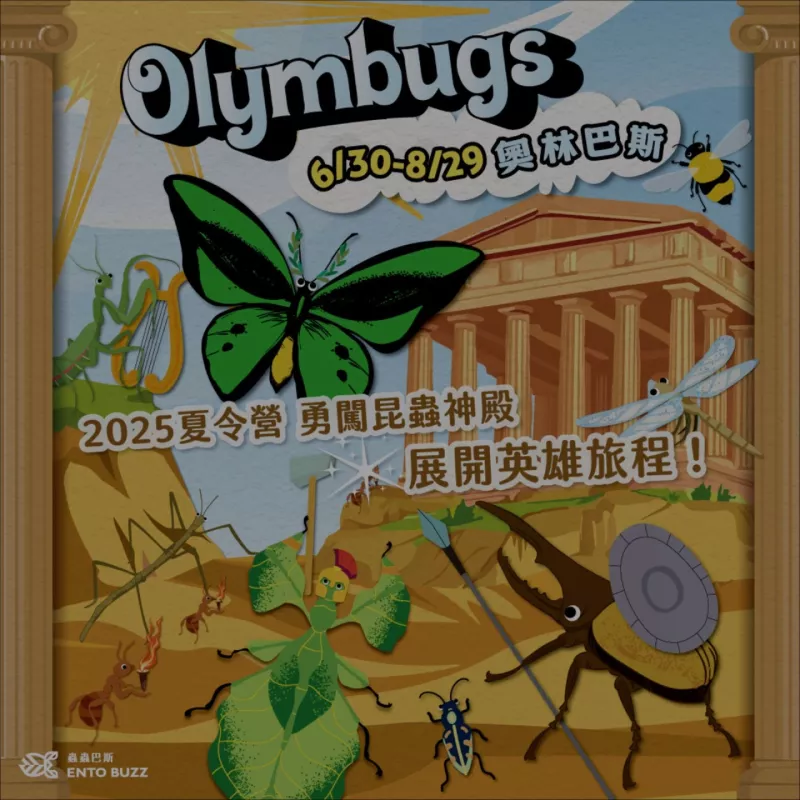 2025夏令營【台北地區】｜Olymbugs 奧林巴斯｜五日昆蟲夏令營 