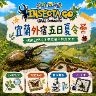 2026夏令營【台北】|Inescta GO・影與耀|宜蘭外宿五日夏令營