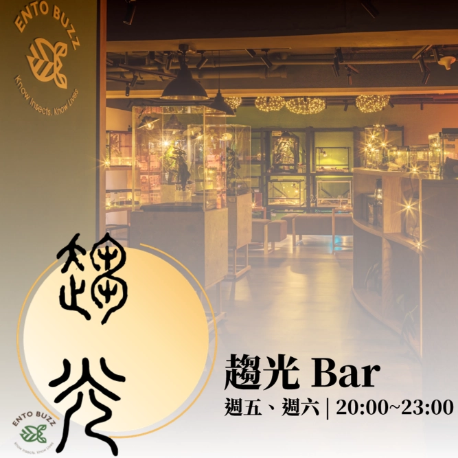 【趨光】有酒 也有蟲的酒吧
