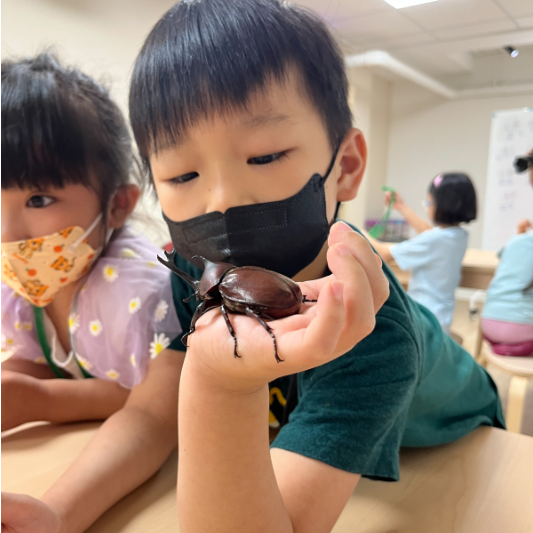 2025夏令營｜Olymbugs 奧林巴斯｜三日昆蟲幼童專班