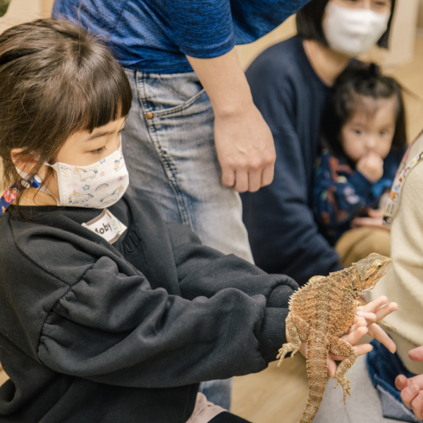 【動物觀察課】