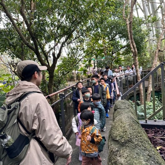 2026冬令營【台北/新竹】|The Last of Buzz 末日蟲生|五日昆蟲生態營