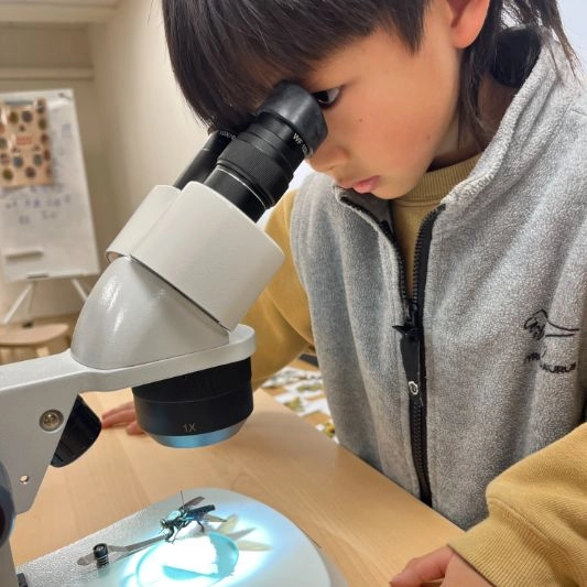 2026冬令營【台北/新竹】|The Last of Buzz 末日蟲生|五日昆蟲生態營