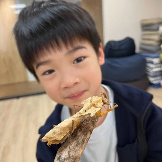 2026冬令營【台北/新竹】|The Last of Buzz 末日蟲生|五日昆蟲生態營