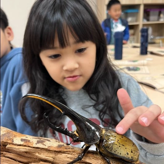 2026冬令營【台北/新竹】|The Last of Buzz 末日蟲生|五日昆蟲生態營