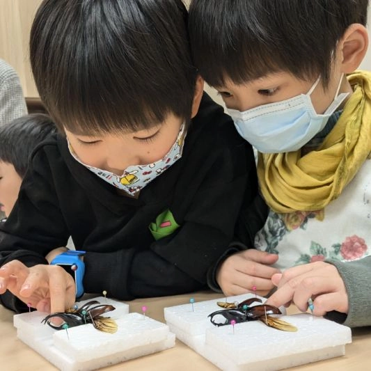 2026冬令營【台北/新竹】|The Last of Buzz 末日蟲生|五日昆蟲生態營