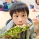 2026夏令營【新竹】|Inescta GO・閃耀冒險|三日營