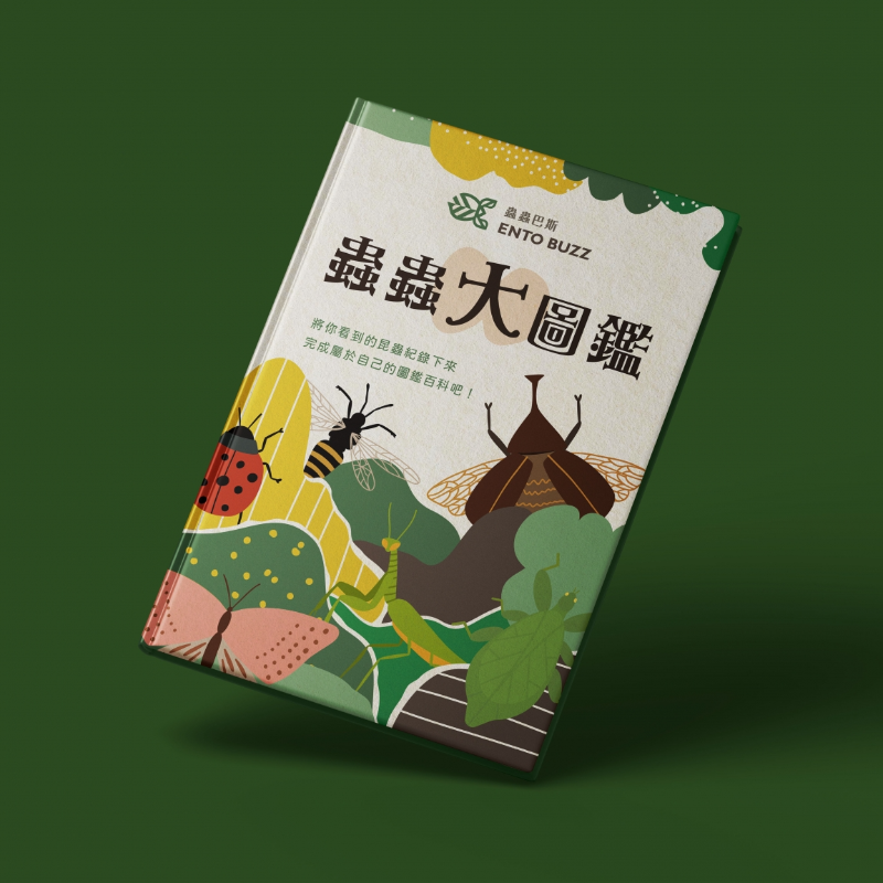 【新竹】Insecta GO! 單日幼兒冬令營｜三天不同主題內容｜一起成為蟲蟲訓練大師！