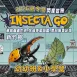 2026夏令營【新竹】|Inescta GO・閃耀冒險|三日營