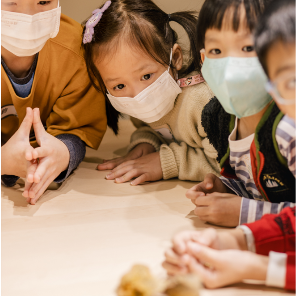 【巴斯照顧趣】｜單堂體驗・多堂訂閱