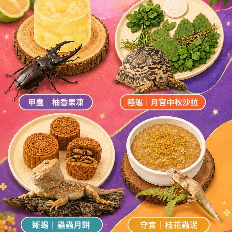 中秋特別版【台北館・動物廚房小當家】